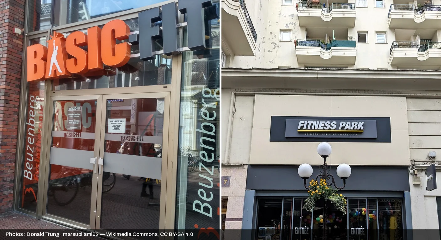 Basic-Fit vs Fitness Park : Comparatif 2026
