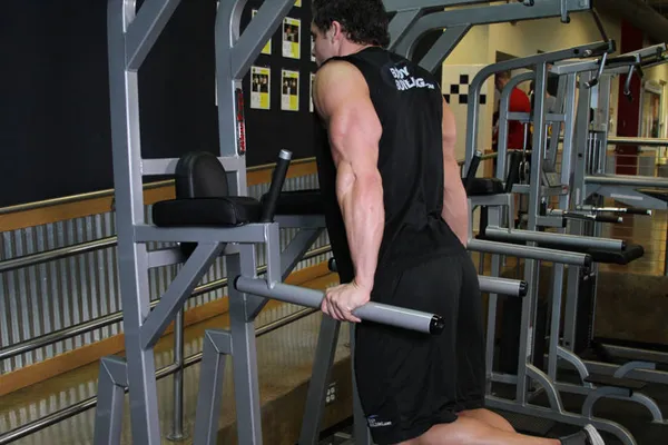 Dips — position finale