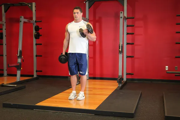 Curl biceps — position finale