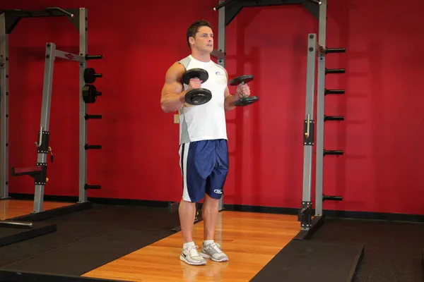 Curl marteau — position finale