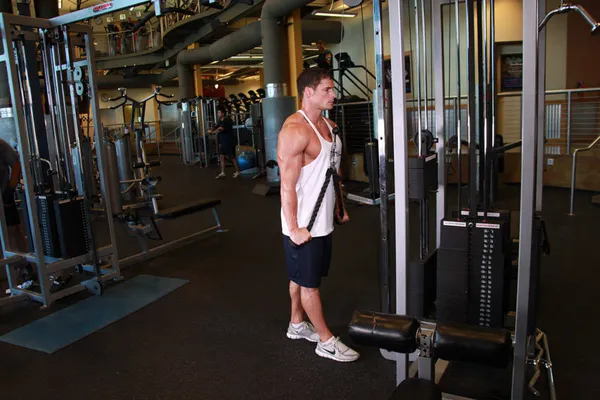 Extensions triceps poulie haute — position finale